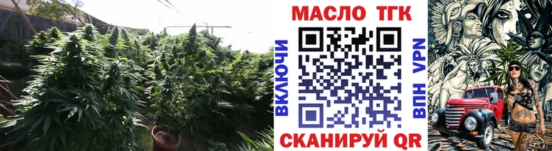 где можно купить Княгинино Дистиллят ТГК Wax
