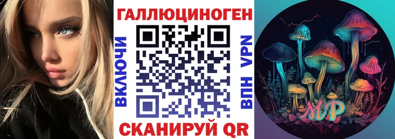 где продают   блэк спрут как зайти  Псилоцибиновые грибы Cubensis  Княгинино 